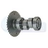 ENARB-2105-0006 ARBOL LEVAS ITALIKA VS90/PS90