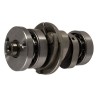 ENARB-2105-0022 ARBOL LEVAS TVS